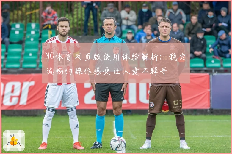 NG体育网页版使用体验解析：稳定流畅的操作感受让人爱不释手