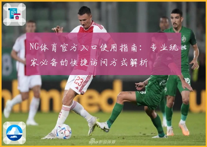 NG体育官方入口使用指南：专业玩家必备的快捷访问方式解析